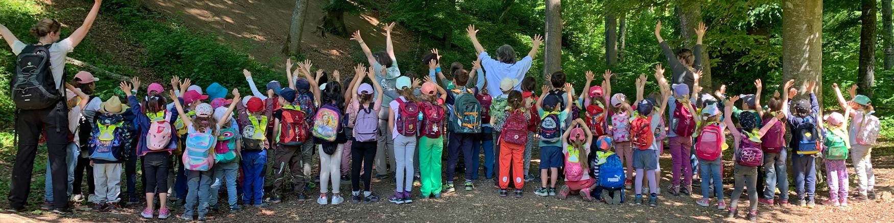 Primarschule Sissach